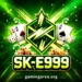 SK-E999 Game