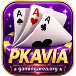 PAKVIA.com